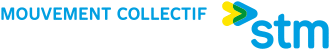 Logo STM